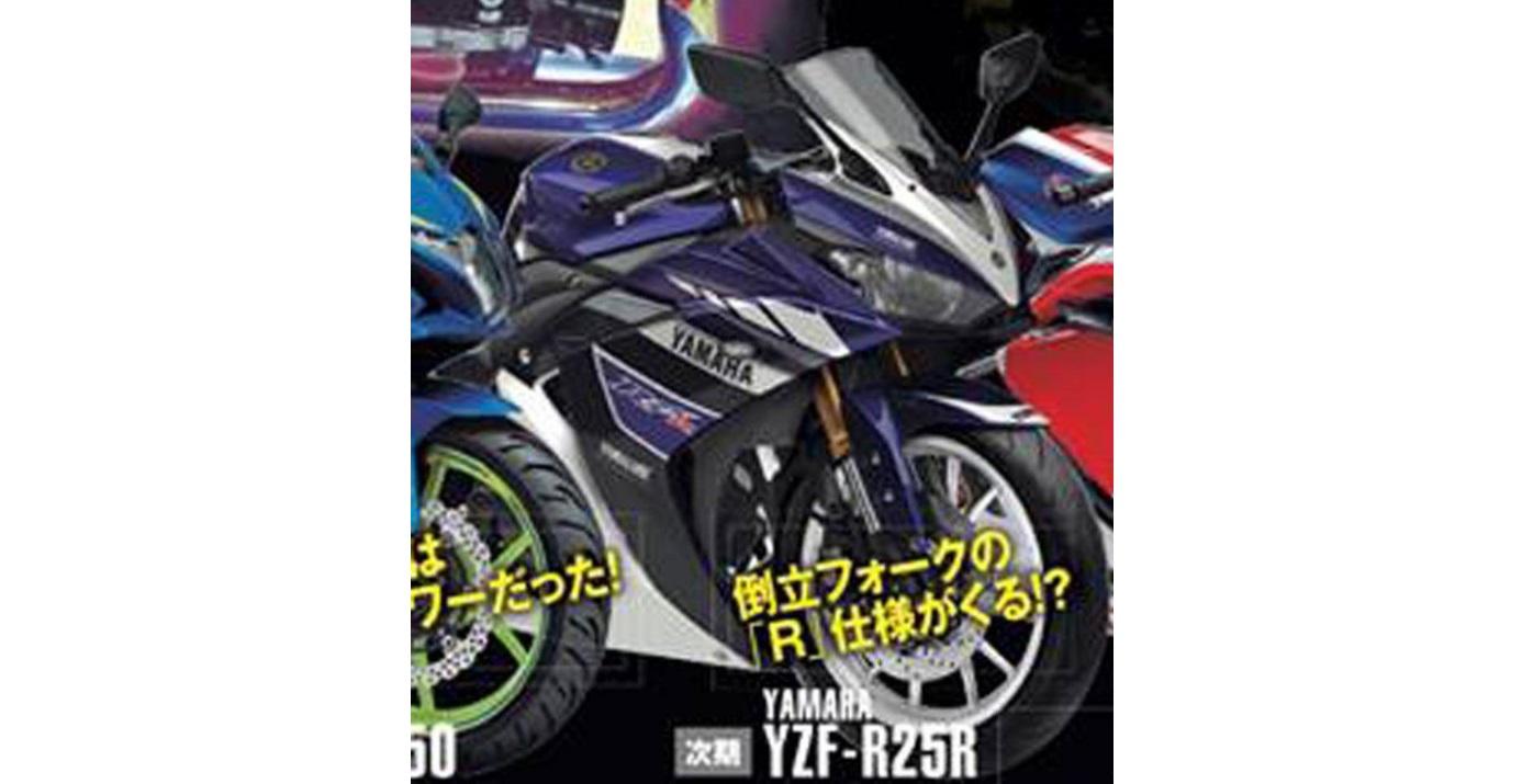 Yamaha R25-R (R for Race Ready), Guyon Saya..