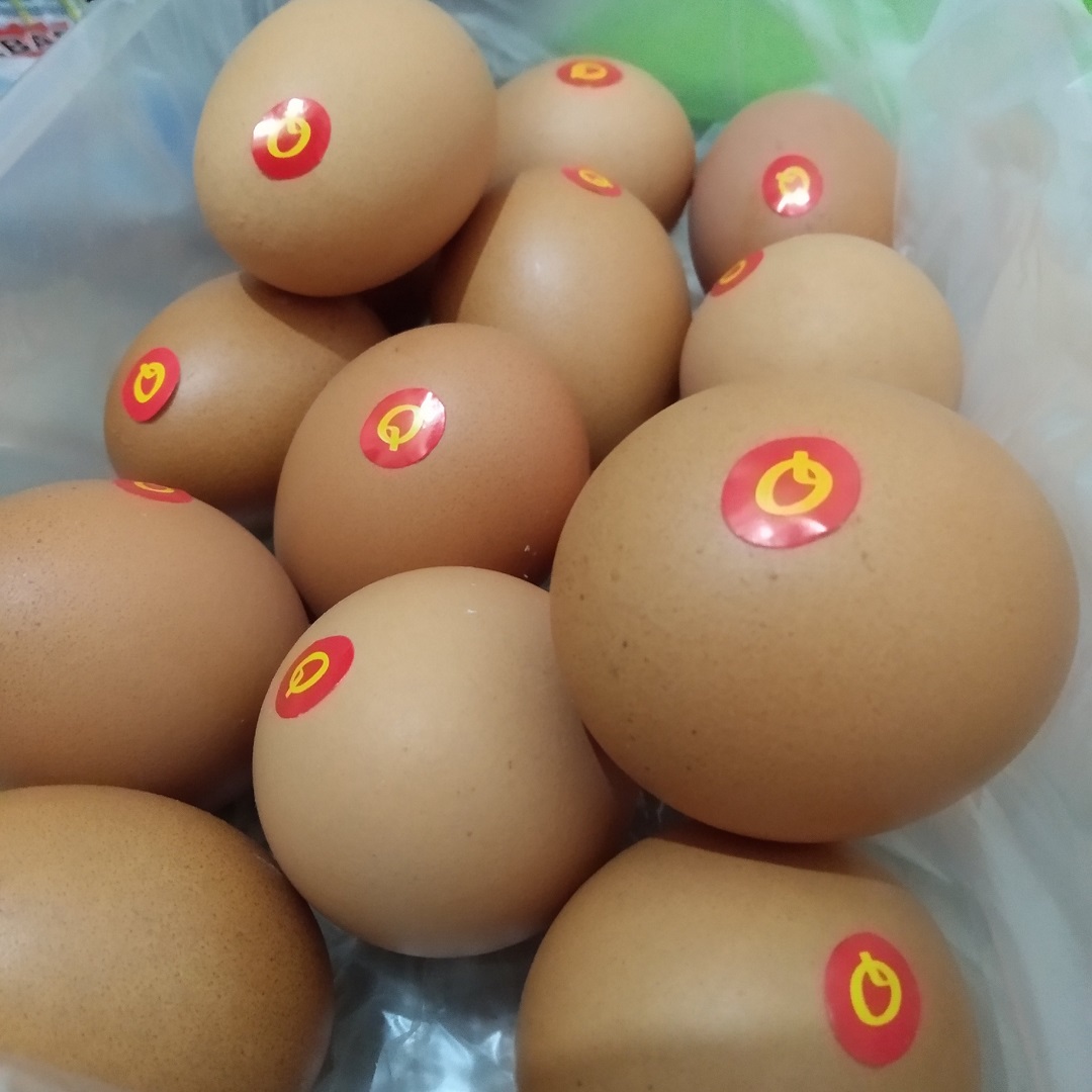 Harga Telur Omega di Warung Sayuran, Apa sih bedanya?