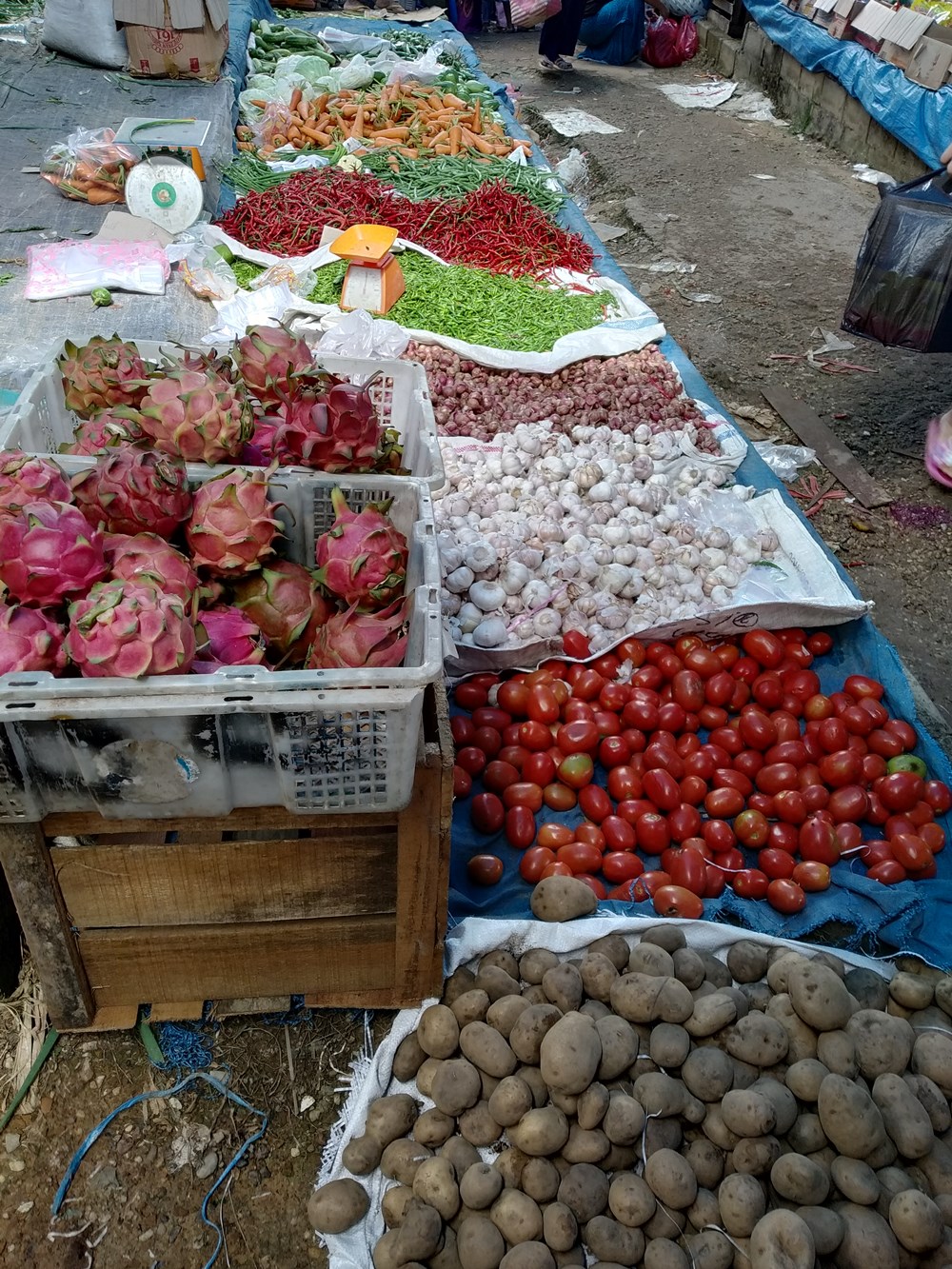 Foto Gratis Pasar Free Stock Photo Traditional market in Indonesia Asia penjual sayuran buah naga tomat kentang