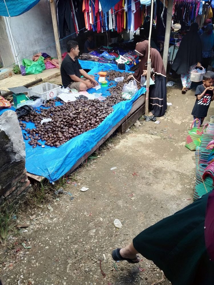Foto Gratis Pasar Free Stock Photo Traditional market in Indonesia Asia penjual jengkol 